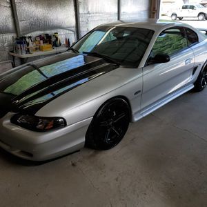 Meet your Posher, Willard